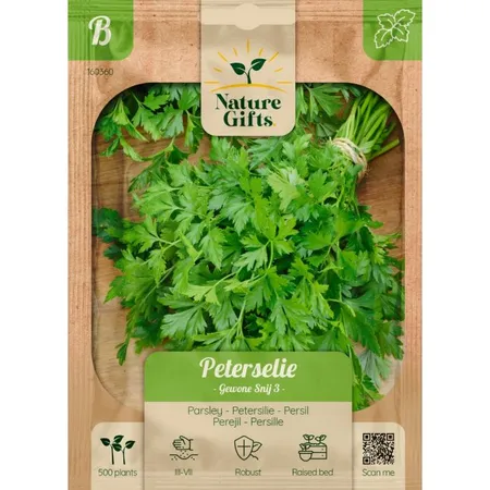 Peterselie gewone snij 3 500st - afbeelding 1