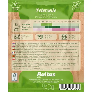 Peterselie gewone snij 3 500st - afbeelding 2