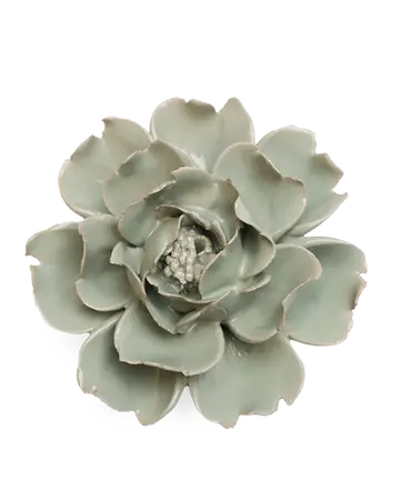 Pistachio Green Rose