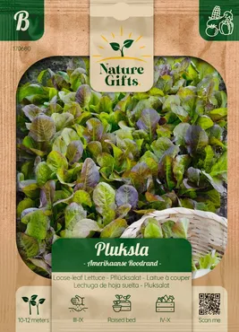 Pluksla amerikaanse roodrand per 11m - afbeelding 1