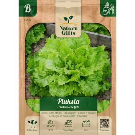 Pluksla australische gele per 9m - afbeelding 1