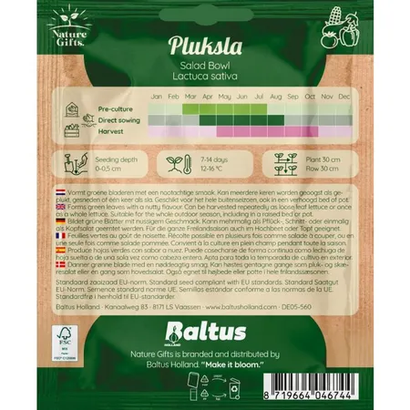 Pluksla salad bowl (snijsla) 300st - afbeelding 2