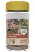 Pokon Bio Terras en Balkon Planten Voedingskegels 40st