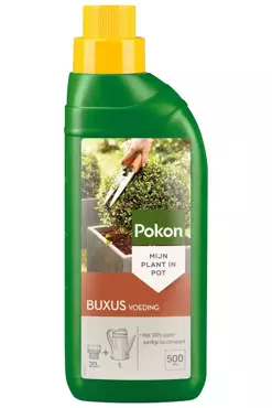 Pokon Buxus Voeding 500ml