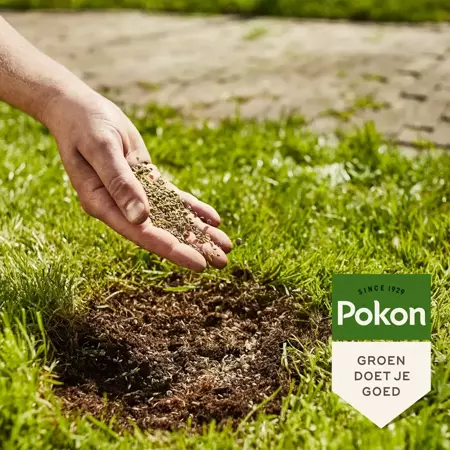 Pokon Kale plekken hersteller 200g - afbeelding 4