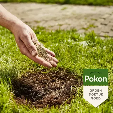 Pokon Kale plekken hersteller 200g - afbeelding 4