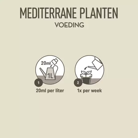 Pokon Mediterrane Planten Voeding 500ml - afbeelding 5