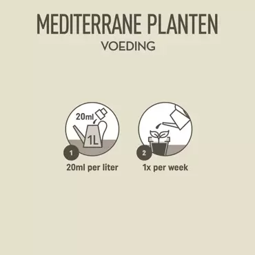 Pokon Mediterrane Planten Voeding 500ml - afbeelding 5