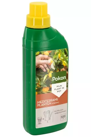 Pokon Mediterrane Planten Voeding 500ml - afbeelding 2