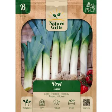 Prei olifant 250st - afbeelding 1