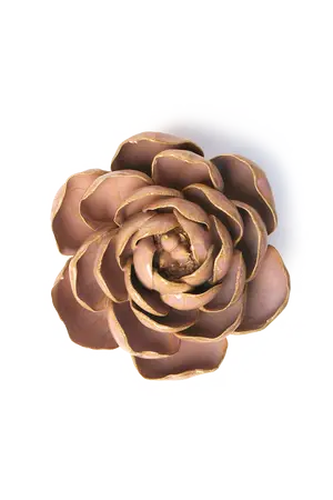 Rose Pink Big Ben Peony