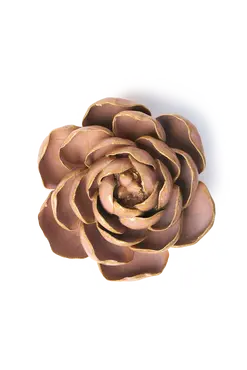 Rose Pink Big Ben Peony