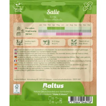 Salie echte salvia 50st - afbeelding 2