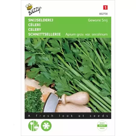 Snijselderij Gewone Snij - afbeelding 1