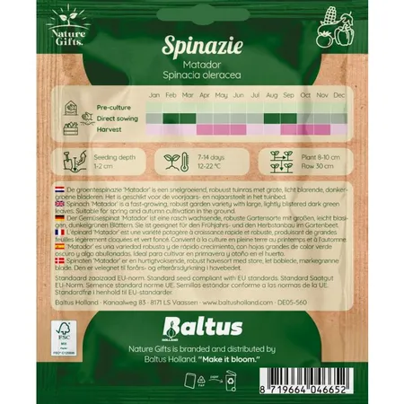 Spinazie matador per 35m - afbeelding 2