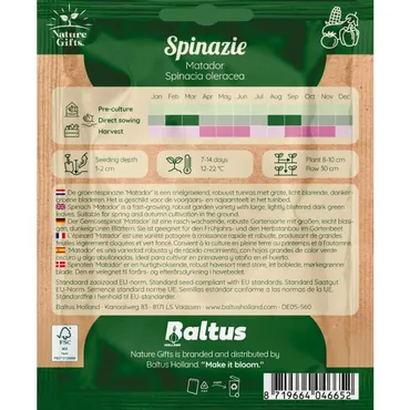 Spinazie matador per 35m - afbeelding 2