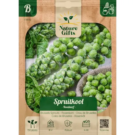 Spruitkool roodnerf 150st - afbeelding 1