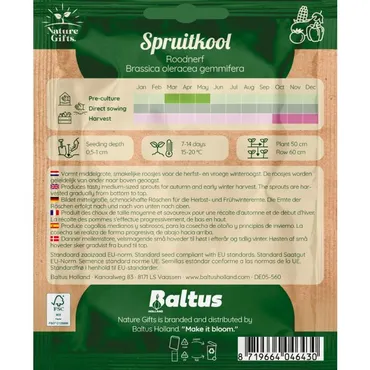 Spruitkool roodnerf 150st - afbeelding 2