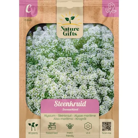 Steenkruid sneeuwtapijt 80st