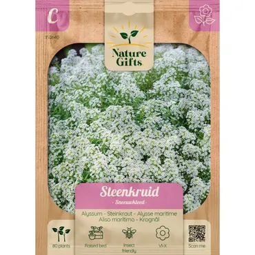 Steenkruid sneeuwtapijt 80st