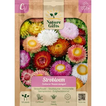 Strobloem zwitserse reuzen mengsel 100st - afbeelding 1