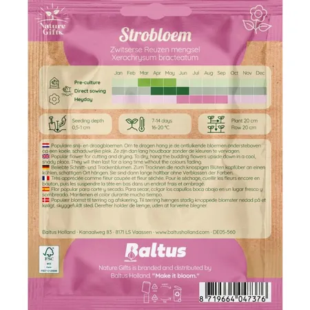Strobloem zwitserse reuzen mengsel 100st - afbeelding 2