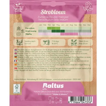 Strobloem zwitserse reuzen mengsel 100st - afbeelding 2