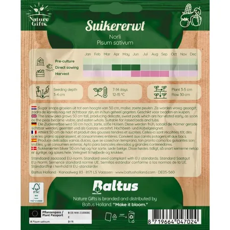 Suikererwt norli per 7m - afbeelding 2