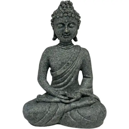 Superfish Eco deco buddha
