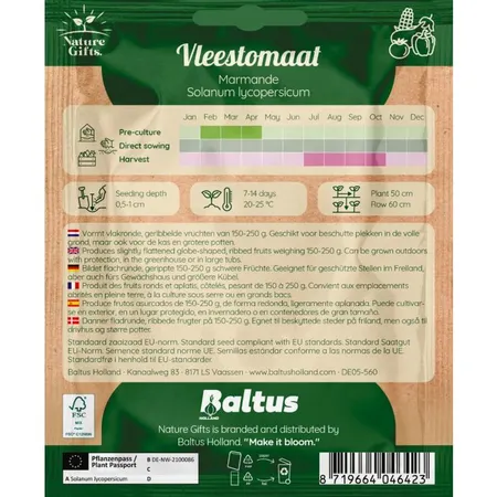 Tomaat marmande 15st - afbeelding 2