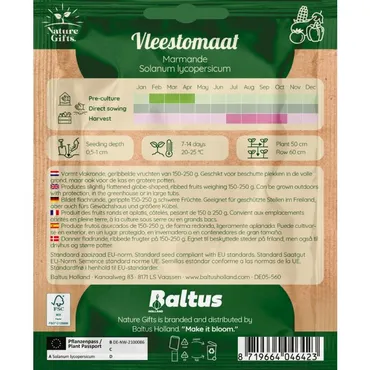 Tomaat marmande 15st - afbeelding 4