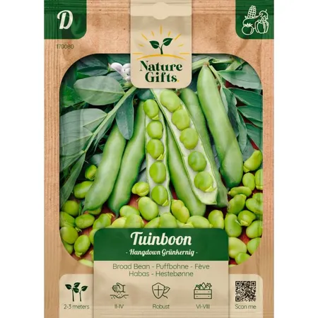 Tuinboon hangdown groenkernig per 4m - afbeelding 1