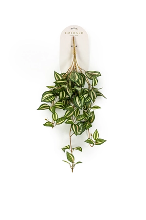 Vaderplant hangend l20cm groen