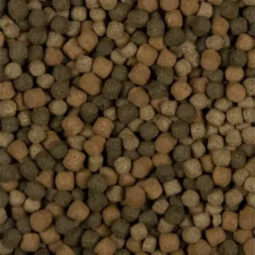 Velda Colour hi-grow mix food 6mm 3l - afbeelding 2