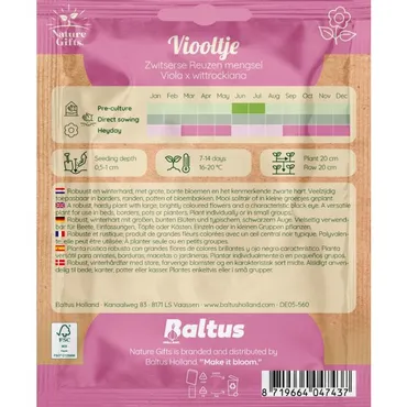 Viooltje zwitserse reuzen mengsel 60st - afbeelding 2