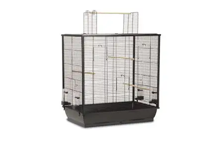 Vogelkooi open mtl 70x40x80cm zwart