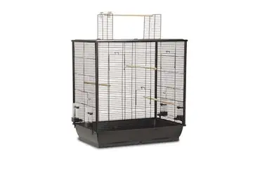 Vogelkooi open mtl 70x40x80cm zwart