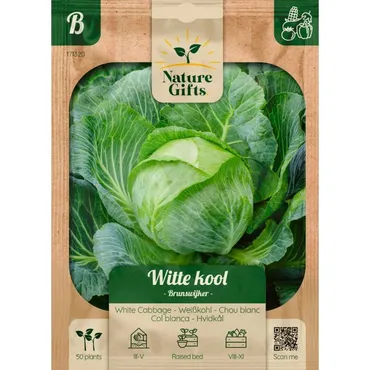 Witte kool brunswijker 50st - afbeelding 1