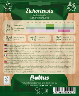 Zichoriensla herfstsla 200st - afbeelding 2
