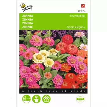 Zinnia Thumbelina gemengd - afbeelding 1
