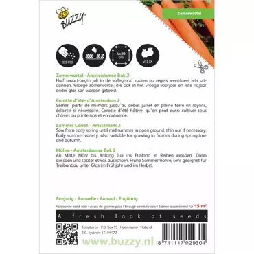 Zomerwortel Amsterdamse Bak 2 - afbeelding 2