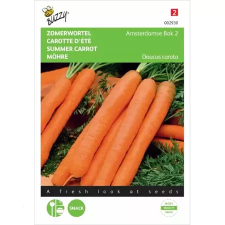 Zomerwortel Amsterdamse Bak 2 - afbeelding 1