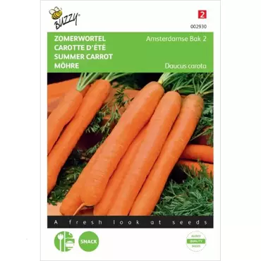 Zomerwortel Amsterdamse Bak 2 - afbeelding 1