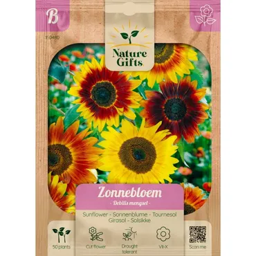 Zonnebloem debilis mengsel 50st - afbeelding 1
