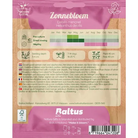 Zonnebloem debilis mengsel 50st - afbeelding 2