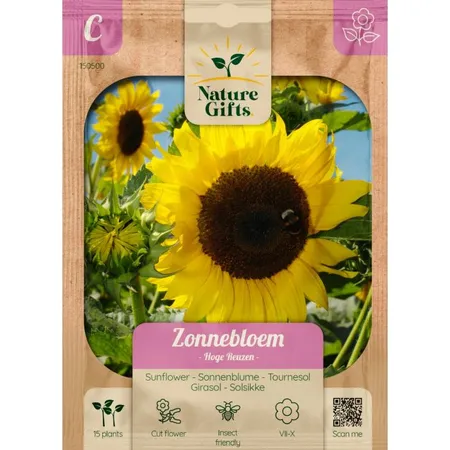 Zonnebloem hoge reuzen 15st - afbeelding 1