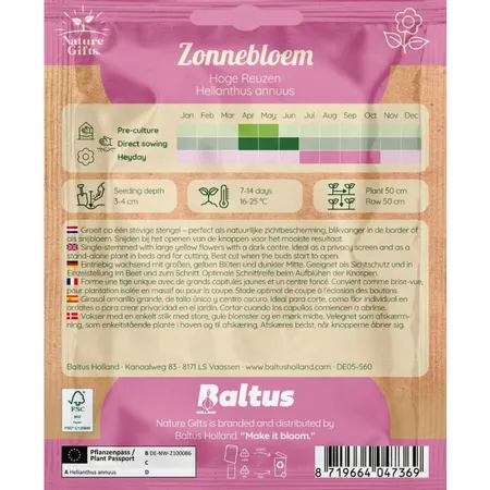 Zonnebloem hoge reuzen 15st - afbeelding 2