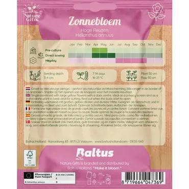 Zonnebloem hoge reuzen 15st - afbeelding 2