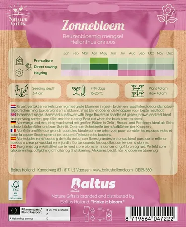 Zonnebloem reuzenbloemig mengsel 30st - afbeelding 2