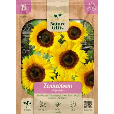 Zonnebloem snijwonder 10st - afbeelding 1